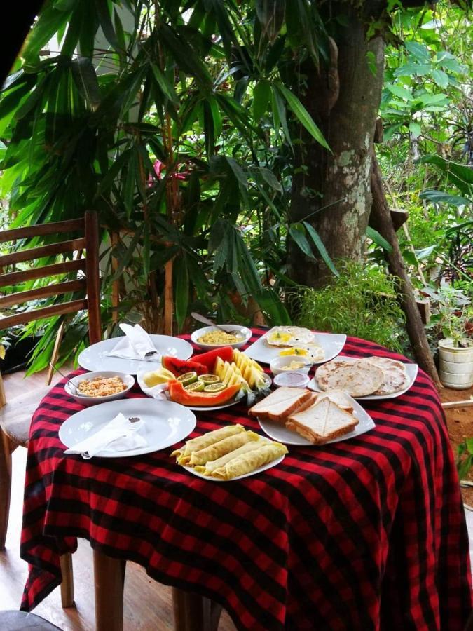 Wingate Homestay إيلا المظهر الخارجي الصورة